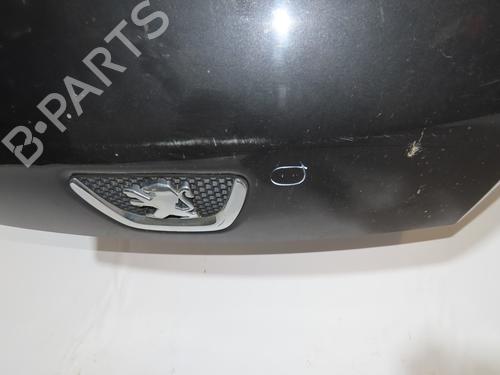 Hood PEUGEOT BIPPER Tepee 1.4 HDi | BP21391926C1