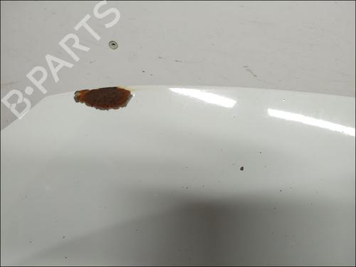 Used Hood RENAULT MEGANE III Hatchback (BZ0/1_, B3_) 1.5 dCi (86 hp) 12095158