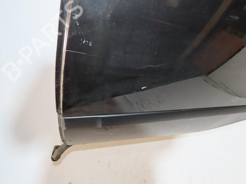 Left rear door RENAULT CLIO III (BR0/1, CR0/1) 1.5 dCi | BP20229028C4 