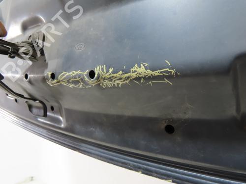 Used Hood Hood KIA CARENS IV 1.7 CRDi (116 hp) 36758324 36758324