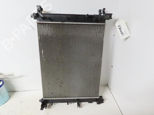 Used Water radiator DACIA SANDERO II 1.0 SCe 75 (B8JC, B8JD, B8NC) (73 hp) 16979497
