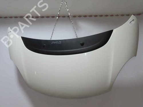 hood-fiat-500l-351_-352_-2012-37054433 main image