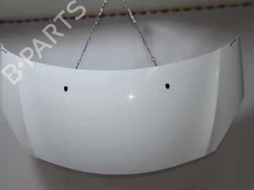 hood-citroen-c3-ii-sc_-2009-34386968 main image