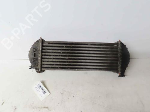 Intercooler Intercooler RENAULT KANGOO Express (FW0/1_) 1.5 dCi 75 (FW07, FW10, FW04) (75 hp) 37046566 37046566
