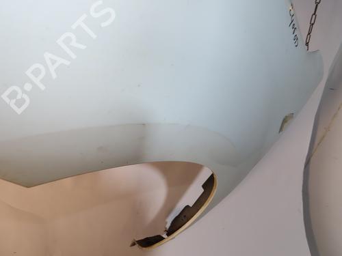 Left front fenders RENAULT KANGOO Express (FW0/1_) 1.5 dCi 70 (FW0A, KW0V) | BP20162448C41 