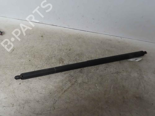 tailgate-lift-support-ford-kuga-ii-dm2-2012-37047456 main image