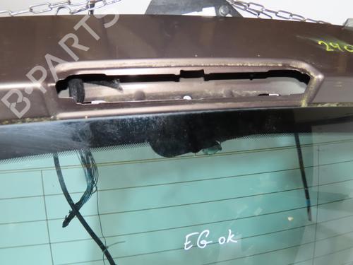 Tailgate RENAULT SCÉNIC III (JZ0/1_) 1.5 dCi (JZ02, JZ0R) | BP26280457C6