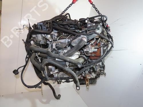 Engine FORD C-MAX II (DXA/CB7, DXA/CEU) 1.6 TDCi | BP24832345M1 - Image 2