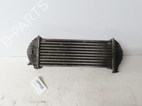 Andere für RENAULT KANGOO Express (FW0/1_) 1.5 dCi 75 (FW07, FW10, FW04) (75 hp) 16997532
