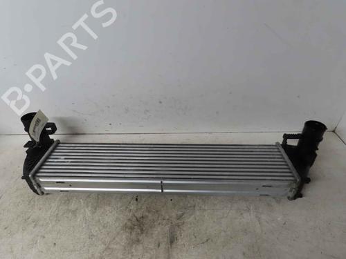 Intercooler RENAULT ESPACE IV (JK0/1_) 2.0 dCi (JK03, JK04, JK1C, JK1G, JK1J, JK1K) | BP37048067M30 - Image 2