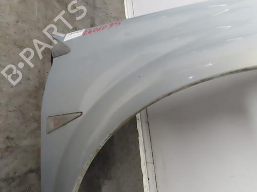 Right front fenders RENAULT MEGANE II (BM0/1_, CM0/1_) 1.5 dCi (BM02, BM13, BM2A, CM02, CM13) | BP19025395C42 