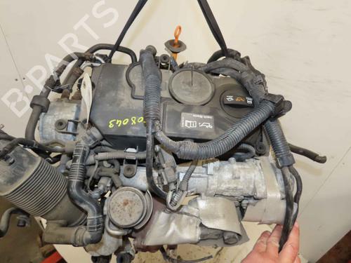 Engine SEAT IBIZA IV (6J5, 6P1) 1.9 TDI | BP37055665M1 - Image 5