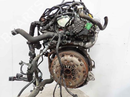 Engine RENAULT KOLEOS I (HY_) 2.0 dCi 4x4 (HY0B) | BP37047452M1 - Image 2