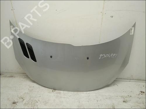 Used Hood PEUGEOT 206+ (2L_, 2M_) 1.4 i (2LKFWA, 2MKFWA) (75 hp) 14953113