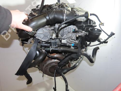 Engine CITROËN C4 Picasso I MPV (UD_) 1.6 HDi | BP31275534M1 