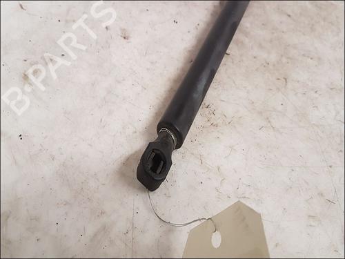 Tailgate lift support PEUGEOT 806 (221) 2.0 HDI | BP16155658C138 