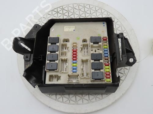 Sikringsdose RENAULT CLIO III (BR0/1, CR0/1) 1.2 16V (BR02, BR0J, BR11, CR02, CR0J, CR11) (75 hp) 29152410