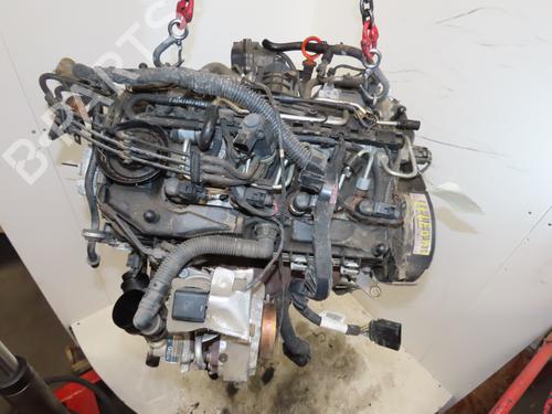 Used Engine VW POLO V (6R1, 6C1) 1.6 TDI (90 hp) 27453643