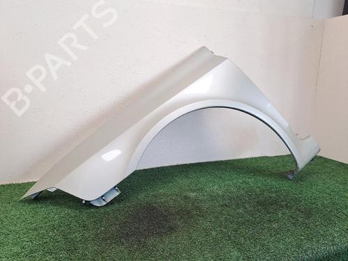 Left front fenders RENAULT LAGUNA II (BG0/1_) 1.9 dCi (BG08, BG0G) | BP25859167C41 