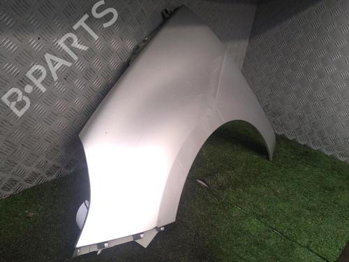 Used Left front fenders RENAULT SCÉNIC III (JZ0/1_) 1.5 dCi (106 hp) 17158886
