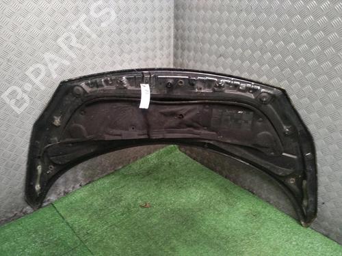 Hood RENAULT GRAND SCÉNIC II (JM0/1_) 1.5 dCi (JM02, JM13) | BP18123207C1 