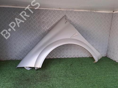 Used Left front fenders RENAULT MEGANE II (BM0/1_, CM0/1_) 1.5 dCi (BM1F, CM1F) (86 hp) 20163513