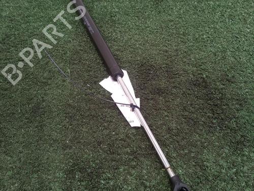 Gassdemper Bakluke RENAULT TWINGO I (C06_) 1.2 16V (C06C, C06D, C06K) (75 hp) 29948942