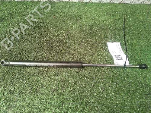 Used Tailgate lift support RENAULT CLIO III (BR0/1, CR0/1) 1.6 16V (BR05, BR0B, BR0Y, BR15, BR1J, BR1M, BR1Y, CR0B,... (112 hp) 18123146
