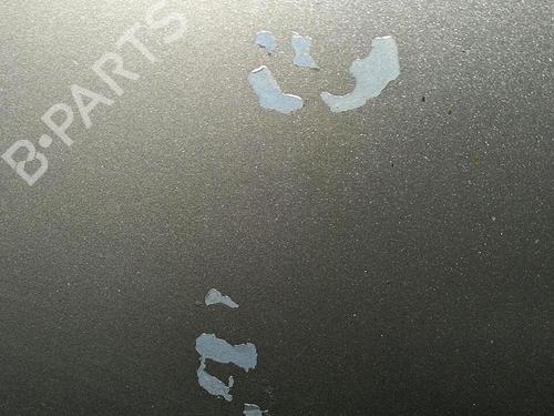 Hood CITROËN XSARA PICASSO (N68) 2.0 HDi | BP29947411C1 