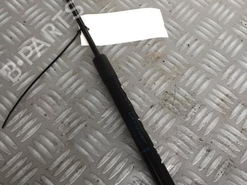 tailgate-lift-support-renault-twingo-ii-cn0_-2007-30072657 main image