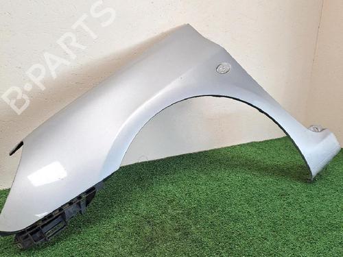 Left front fenders PEUGEOT 307 (3A/C) 2.0 HDi 90 | BP24460099C41 