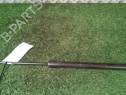 Tailgate lift support RENAULT SCÉNIC III (JZ0/1_) 1.9 dCi (JZ0J, JZ1J, JZ1K, JZ1S) | BP29951884C138