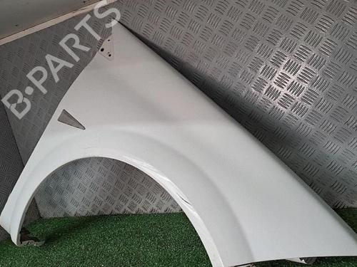 Right front fenders RENAULT MEGANE II (BM0/1_, CM0/1_) 1.5 dCi (BM02, BM13, BM2A, CM02, CM13) | BP30076874C42 