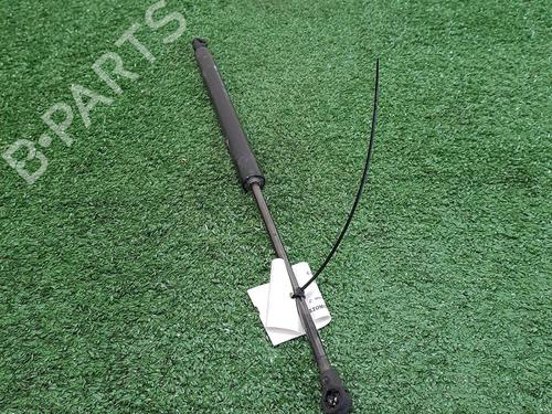 Ammortizzatore portellone posteriore Ammortizzatore portellone posteriore PEUGEOT 208 I (CA_, CC_) 1.2 PureTech 82 (82 hp) 30068463 30068463