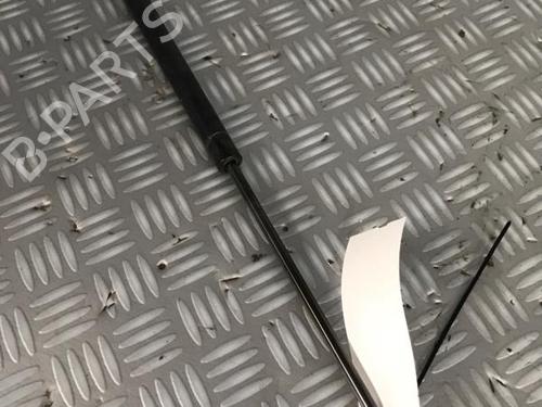 Tailgate lift support FORD FUSION (JU_) 1.4 TDCi | BP30074573C138