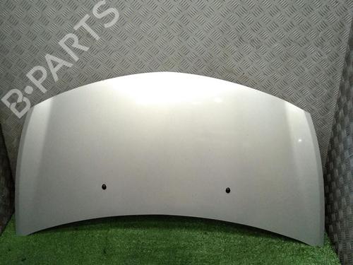 hood-renault-clio-iii-br01-cr01-2005-2006-2007-2008-2009-2010-2011-2012-2013-2014-29948474 main image