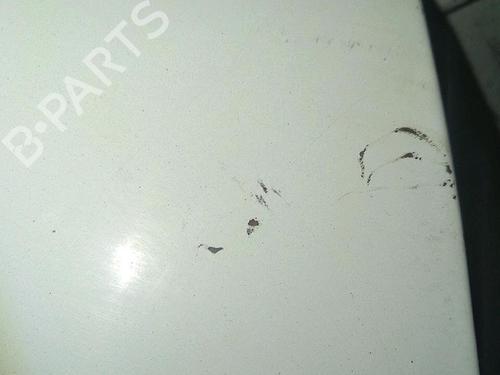 Left tailgate RENAULT KANGOO Express (FC0/1_) D 65 1.9 (FC0E, FC02, FC0J, FC0N) | BP30076624C76 