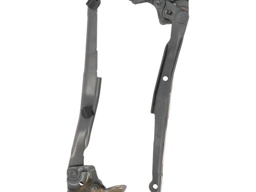 hingedoor-check-strap-citroen-c4-spacetourer-3d_-2018-34241824 main image