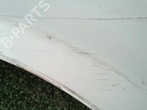 Forkjerm venstre RENAULT CLIO II (BB_, CB_) 1.5 dCi (B/CB3M) | BP29952873C41