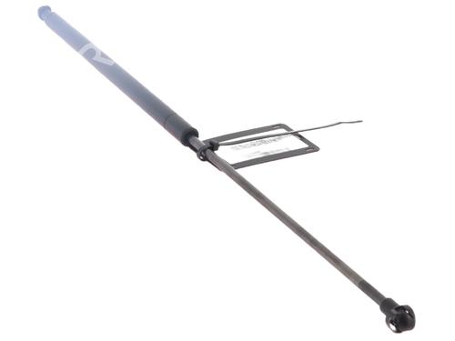 Used Tailgate lift support NISSAN JUKE (F15) 1.5 dCi (110 hp) 30787485