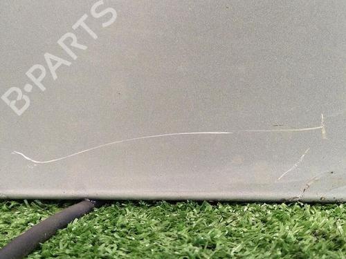 Left slide door FIAT ULYSSE (179_) 2.0 JTD | BP29950883C74 