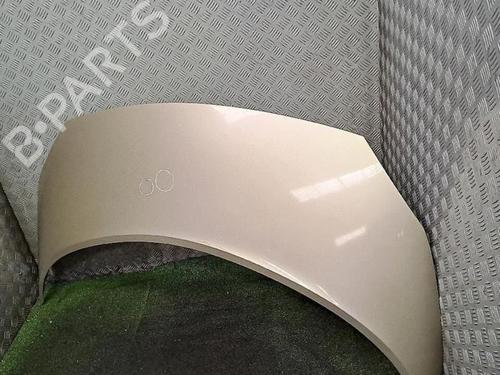 hood-renault-scenic-ii-jm01_-2003-2004-2005-2006-2007-2008-2009-2010-30076850 main image