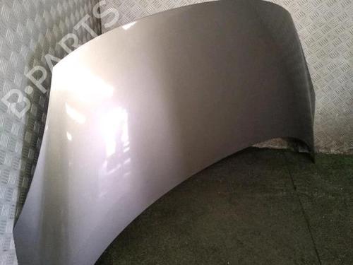 Used Hood Hood RENAULT SCÉNIC III (JZ0/1_) 1.9 dCi (JZ0J, JZ1J, JZ1K, JZ1S) (131 hp) 30074052 30074052