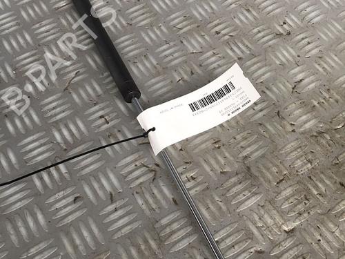 Gassdemper Bakluke FIAT ULYSSE (179_) 2.0 JTD | BP30072542C138 