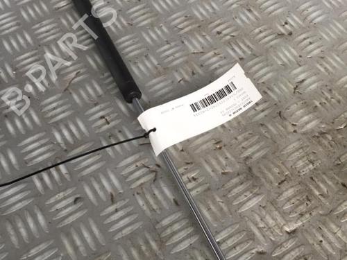 Gassdemper Bakluke FIAT ULYSSE (179_) 2.0 JTD | BP30072542C138 