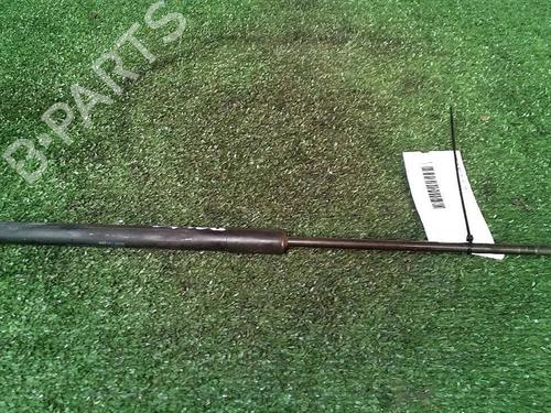 Tailgate lift support DACIA SANDERO 1.2 16V | BP30073794C138 