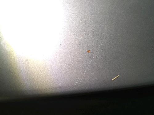 Tailgate RENAULT MEGANE I Coach (DA0/1_) 2.0 16V IDE (DA03, DA0P, DA14) | BP30076621C6 