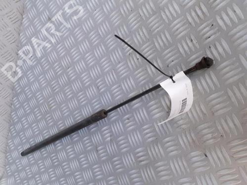 Tailgate lift support RENAULT GRAND SCÉNIC III (JZ0/1_) 1.9 dCi (JZ0J, JZ0N, JZ1K, JZ1S) | BP30072651C138