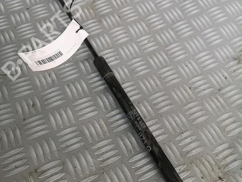 Tailgate lift support CITROËN C4 II (NC_) 1.6 HDi 110 | BP30072645C138