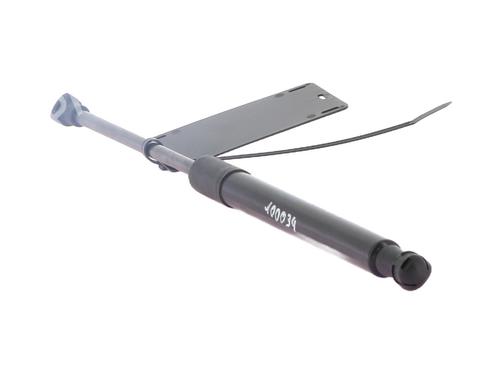 Gasdæmper bagklap RENAULT TWINGO II (CN0_) 1.2 16V (CN04, CN0B) (75 hp) 31160760